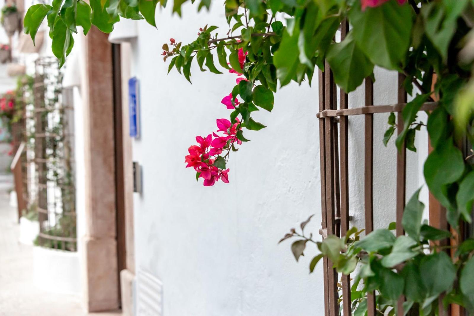 Maison Salva - Hotel Boutique Altea Exterior foto